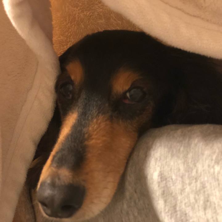 A682d547 5248 4e76 b693 bc2c619609a2 1542925887350