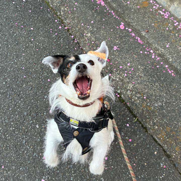 A682db8f a384 4361 a21a 6f115c573689 1772324017936