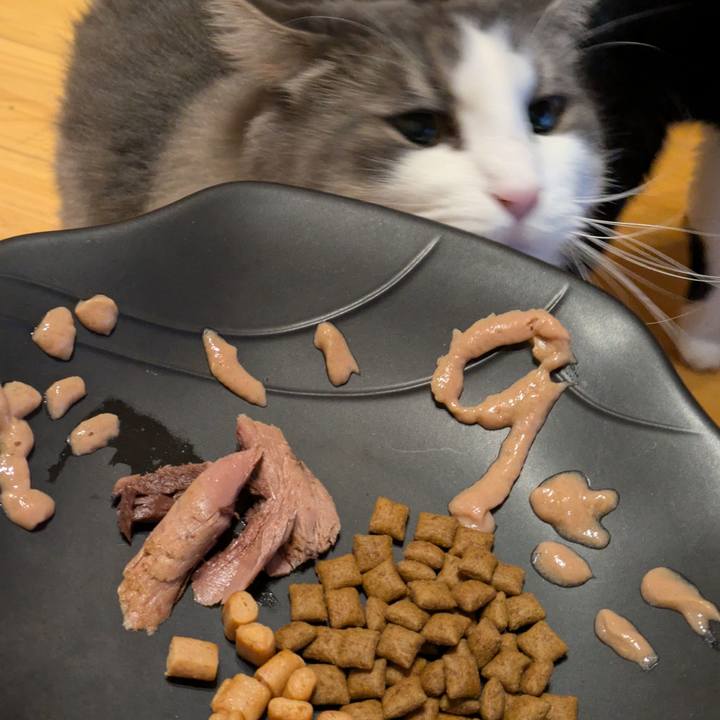 A682e702 f740 486b 9931 d033fa22cbbe 1758103165904