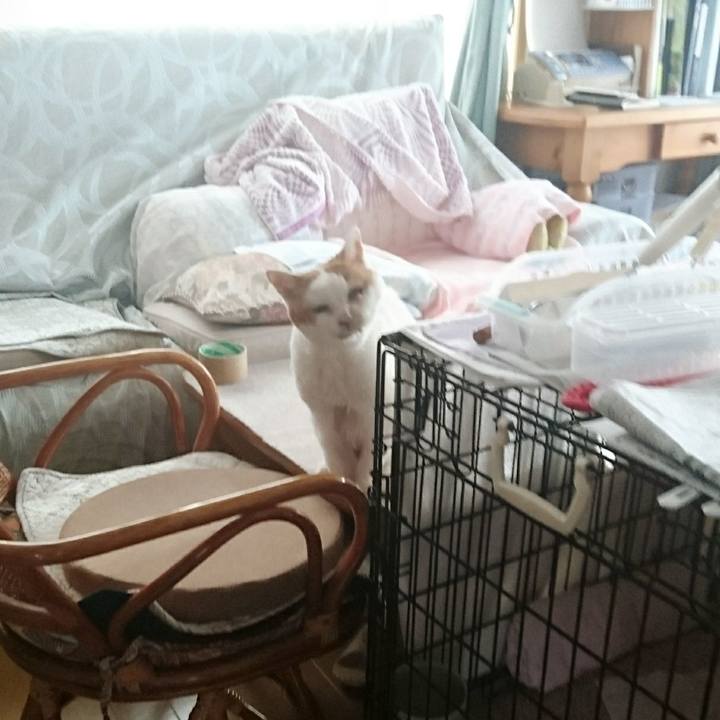 A6839a6a d569 4d00 b310 def0ce864b7b 1623745819404