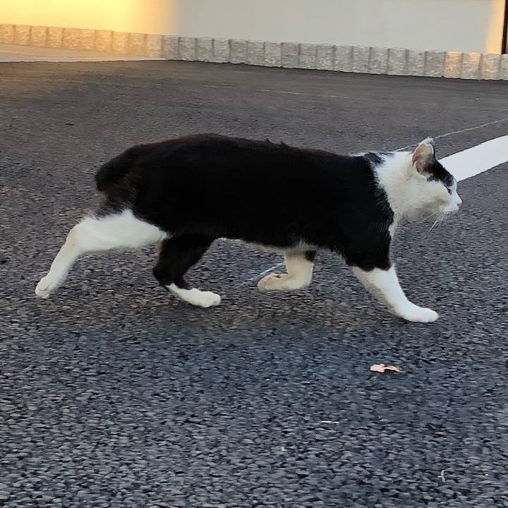 A683c209 96a8 41c2 9fff 781609a83f61 1516092115430