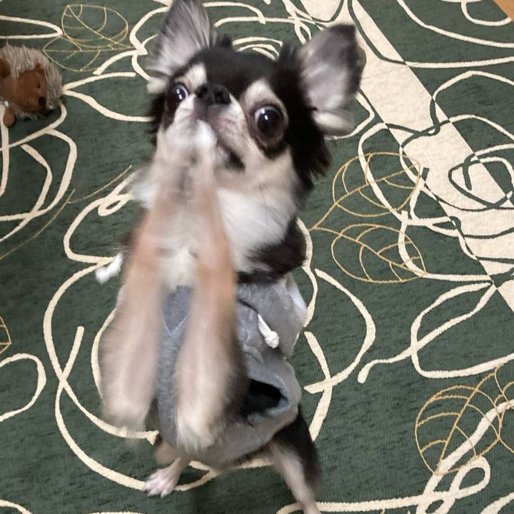 A683e702 84cd 4716 b504 7d556fb34b36 1645884212432