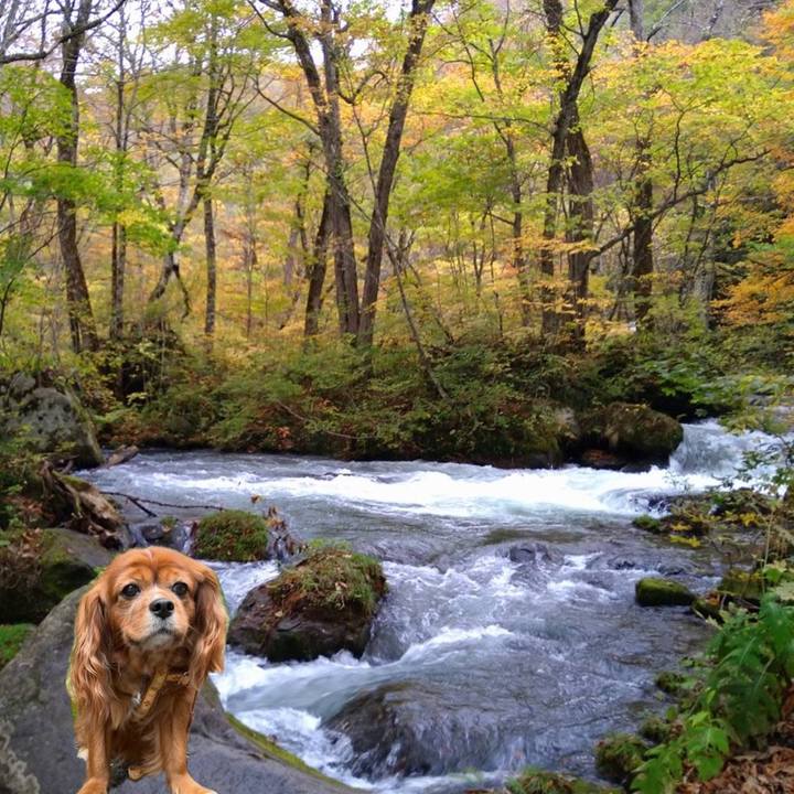 A6848702 c710 43bd 9da6 87d8ac5167fb 1666792705665