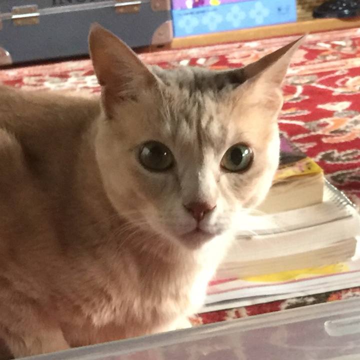 A684a0c2 4c48 4093 a5fd 4c36b8101428 1559432602512