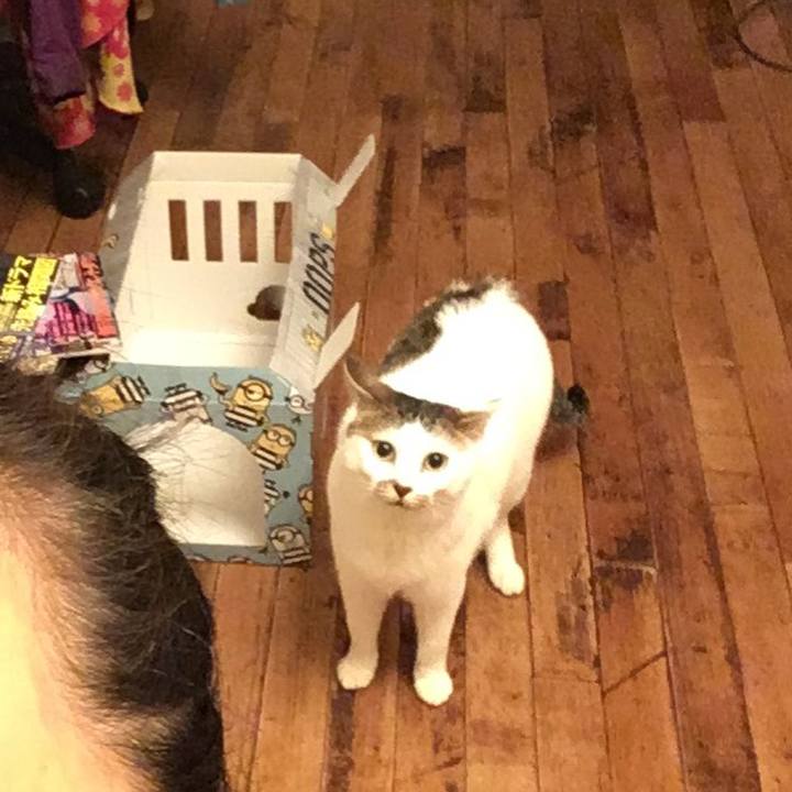 A684c033 6868 4476 a1da 15e73cb18b4b 1524749944932