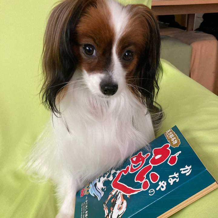 A684ebf8 e304 4166 a6c0 1e1d5d8193bf 1631166229756