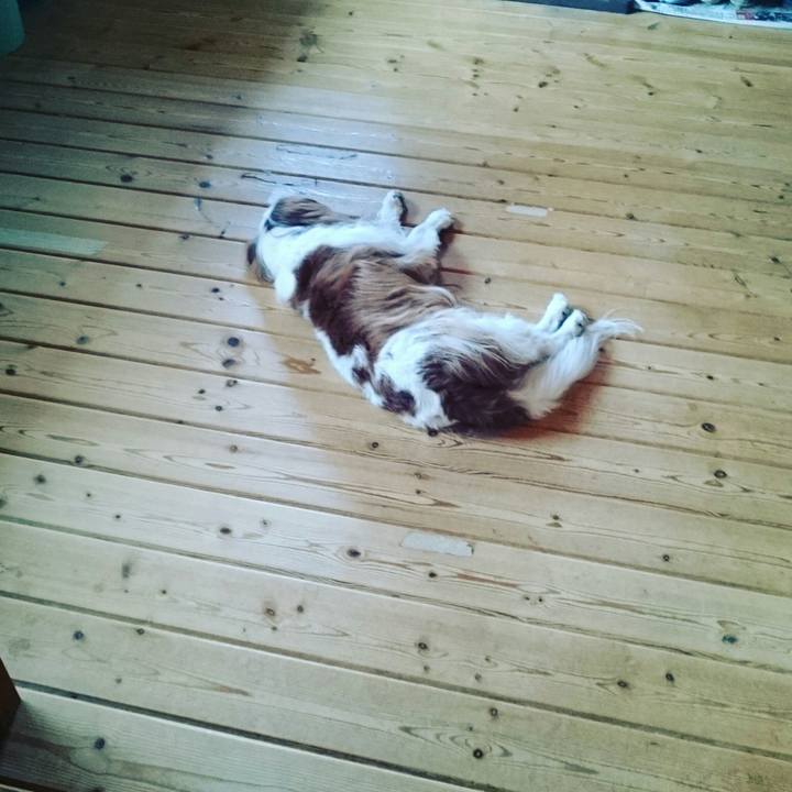 A6850d64 3897 4974 bffd 3438a9e743a5 1564873898543