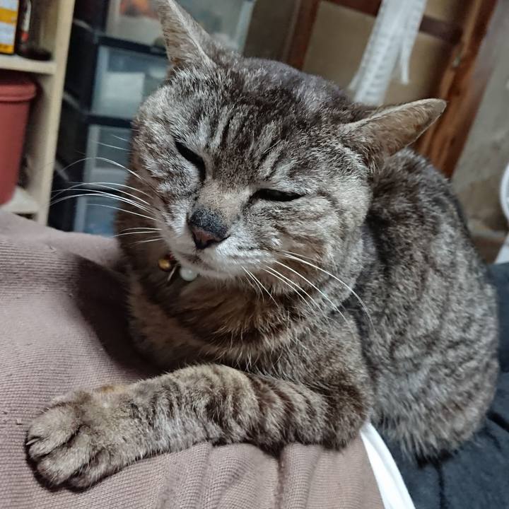 A685149b 99c5 4191 a3e5 d76d8e97bed2 1560635710273