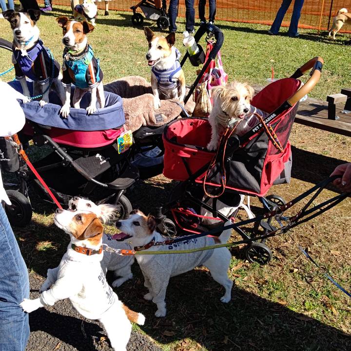 A6852c40 a9ab 4e51 aea3 7912df9dc123 1636775494909