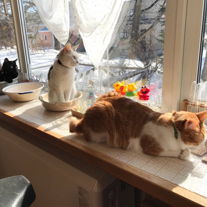 A6853dfc 4b06 4f85 870a d966731317d4 1582935733440