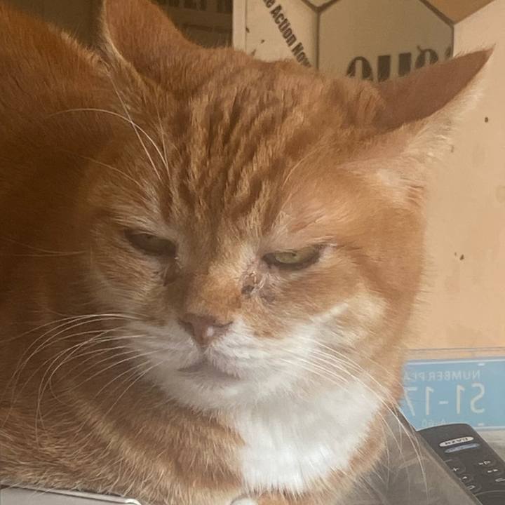 A6854380 2042 4e32 8eb0 5ca69964c9b2 1739242460610