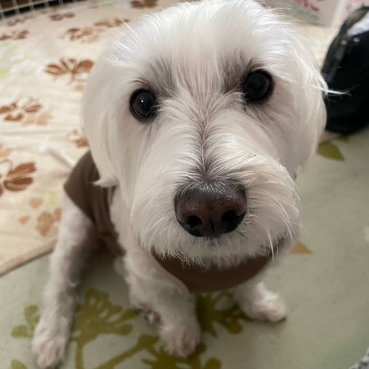 A685507e 849b 45ad 911f 71a1d5c9474e 1731811443477