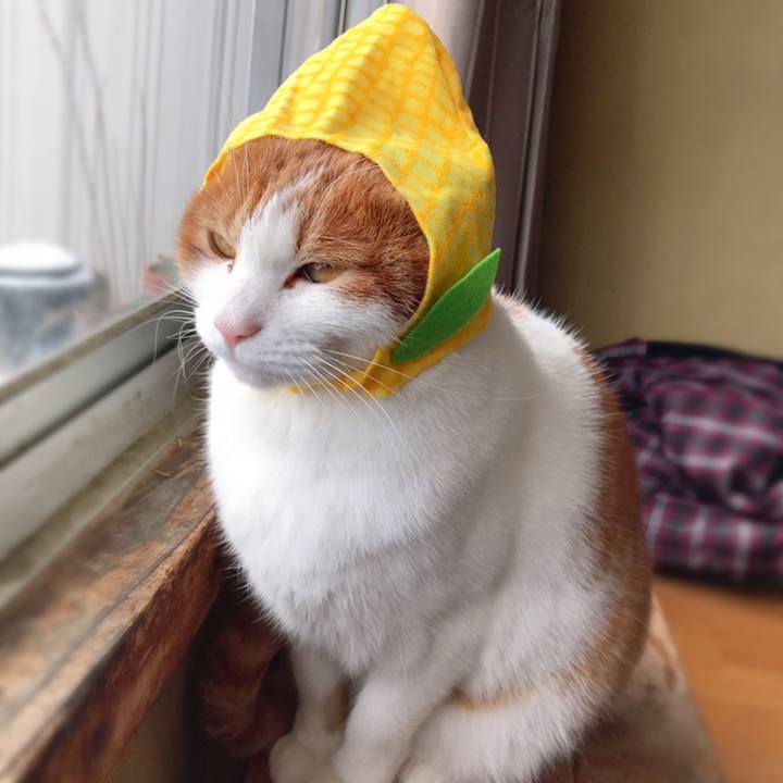 A6855d8f 8be3 41b4 8435 d7ec6ad90cd9 1546407137168