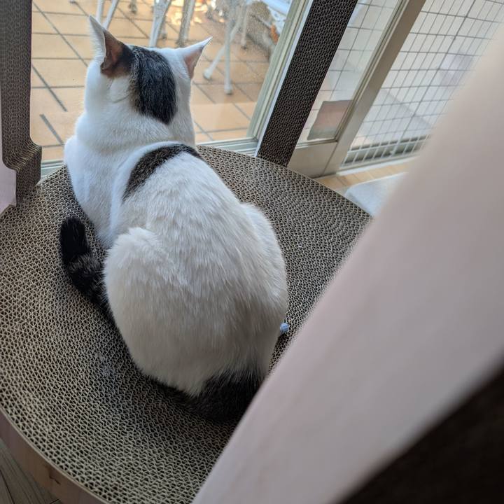 A6855dc7 16f0 41cb ab00 e4d156253e11 1757292414214