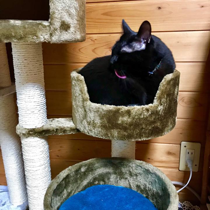 A6857f99 87ac 4103 b444 cf672bfe2af9 1515975430803