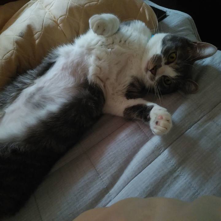 A6858067 a978 49d0 bc31 41efe846e868 1587434256338