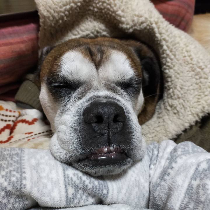 A685b899 a763 42c1 914a fe9330040ccf 1641821557153