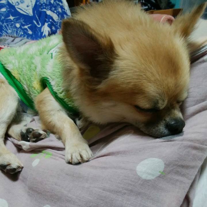 A685bfe1 9952 437d abd0 4c43651604b2 1512996835483