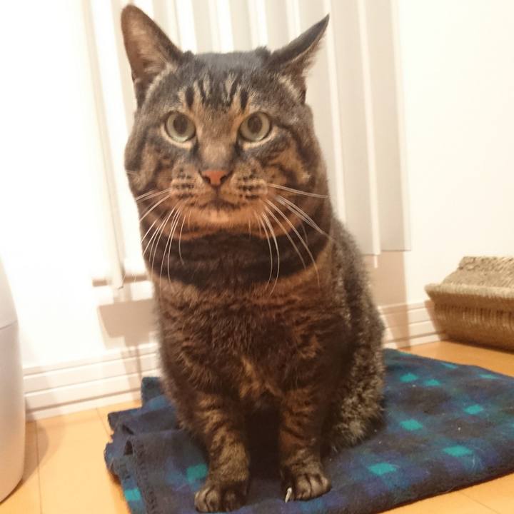 A685c892 df9e 46bb 9a29 b1fcb87a6349 1576922632246