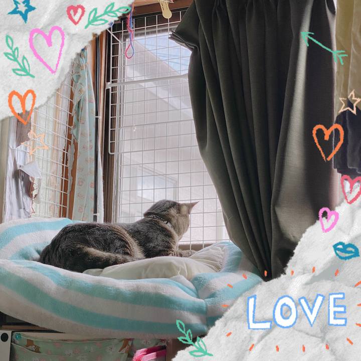 A6860186 b6c4 4e74 a3c0 7c2faba2ebf2 1579575257942