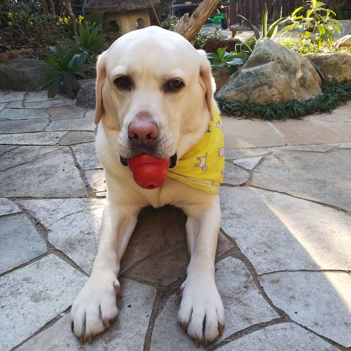 A6861bd6 dd7f 4c15 bff6 04233c8d3757 1550390160750