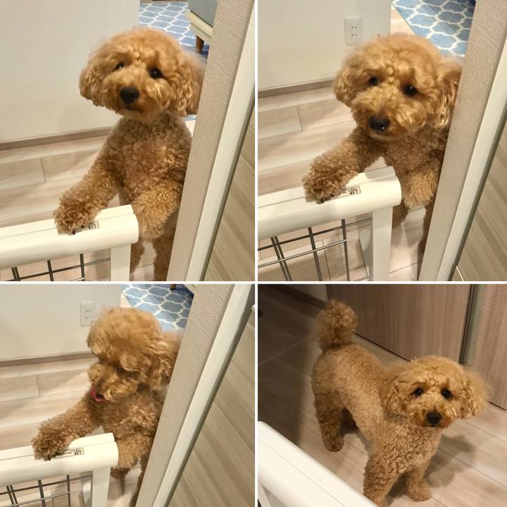 A686243e dbfa 484d aaf8 b8245a92a217 1558704340970