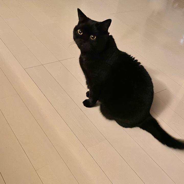 A6862461 ebf3 4b79 a478 74c78a99bd9f 1663078805046