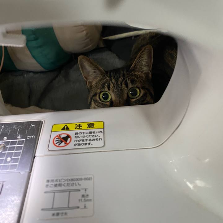 A6866a47 b7df 42c2 b635 73a3111b96fc 1586423832321