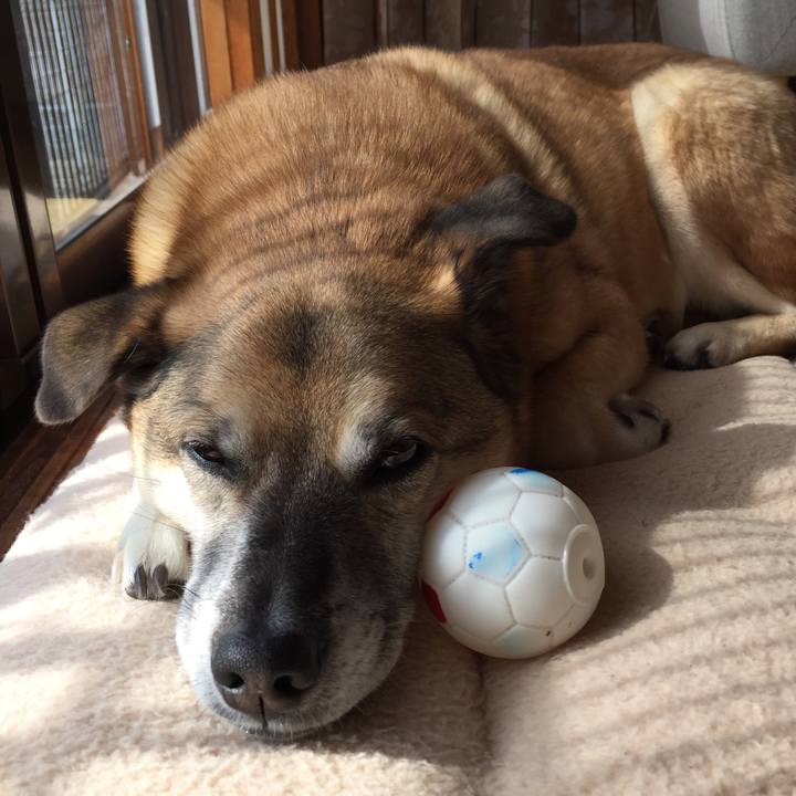 A686c414 bcb3 474c 9db8 af78d7732b26 1519007470557