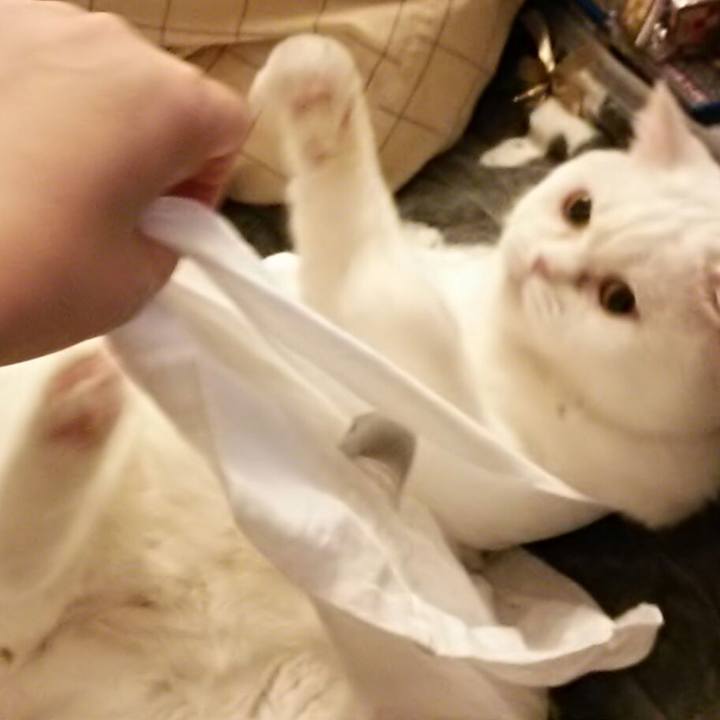 A686ccf2 db11 49de 9423 45a32bc15695 1525267751237