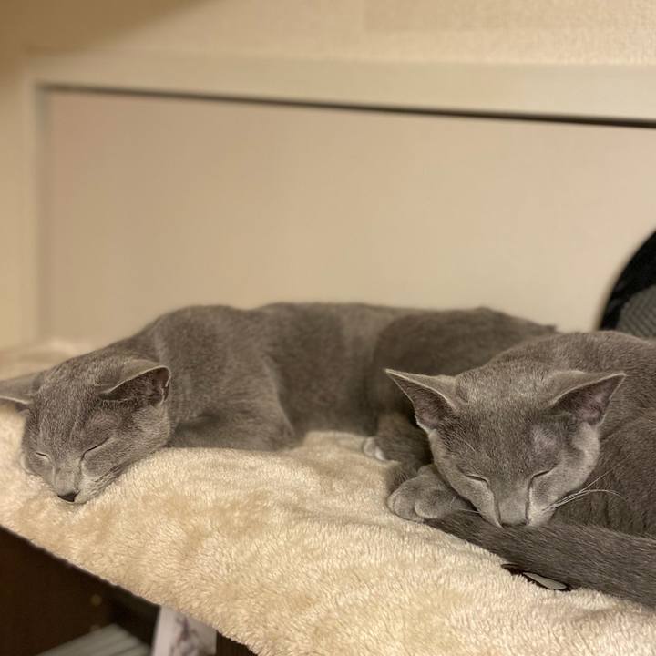 A686de07 56bd 4a12 91d2 be2ab0d39e6e 1612175092627