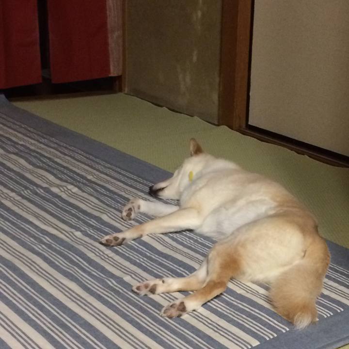 A686de94 1995 4f4b be8c 7b9f09b22f62 1554028578322