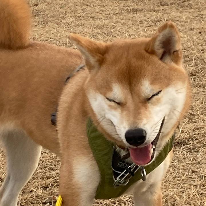 A686e495 945d 4533 b3ff 29b8b3c4d6bf 1642409762209