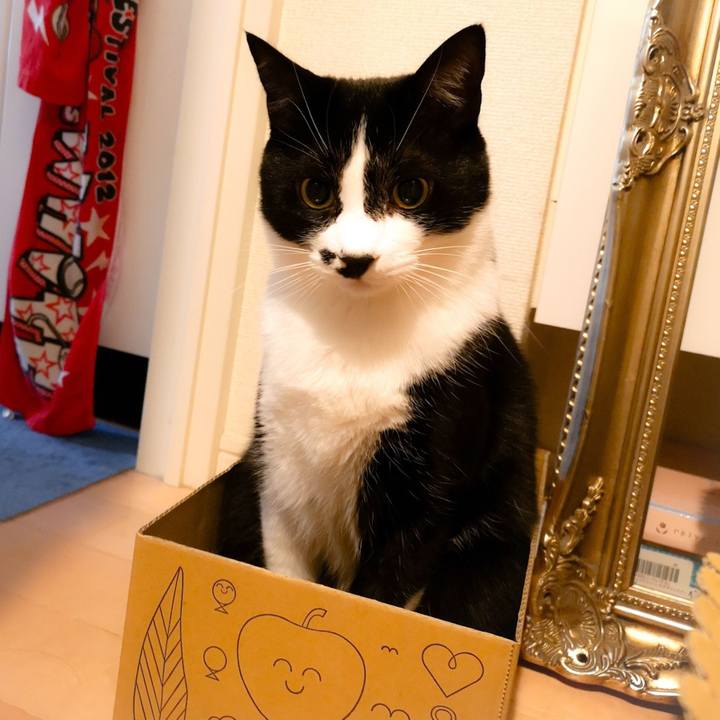 A686e8aa d538 470a a8b5 119a832b0fa8 1545983459151