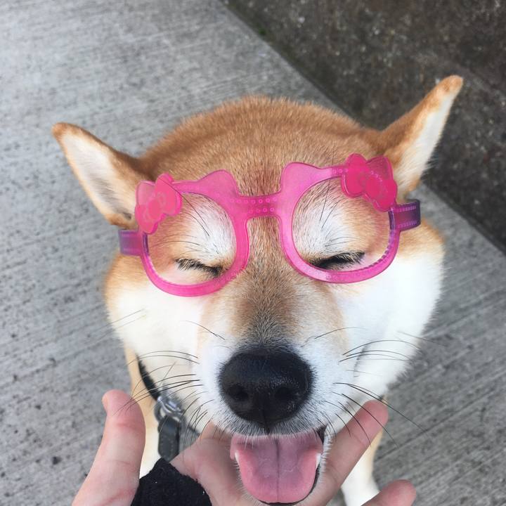 A68743c2 c148 4a6d adf9 6880df69a8a0 1572500235931