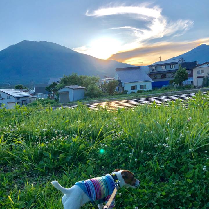 A687b99f d72c 47c8 bc03 08dae5c483a5 1529313723589