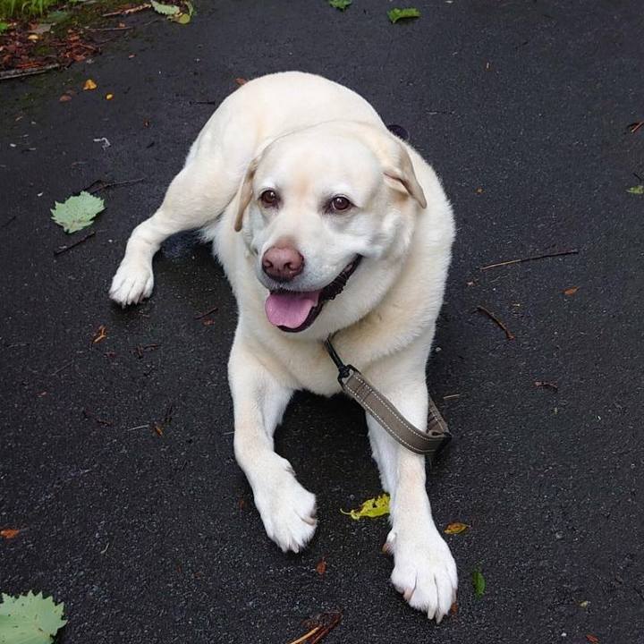 A687c726 2340 4a4c 85b7 f346004b5d1e 1752835773400