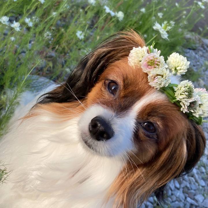 A687df74 8149 4533 8d1b 6fe35a5b7049 1655539738018