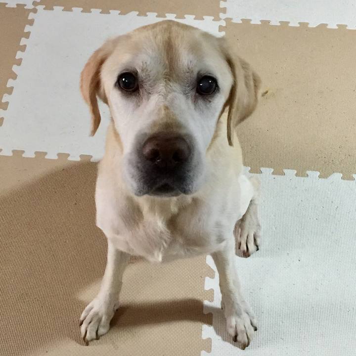 A687f677 e758 41ca 956d be62fadda174 1509021460993