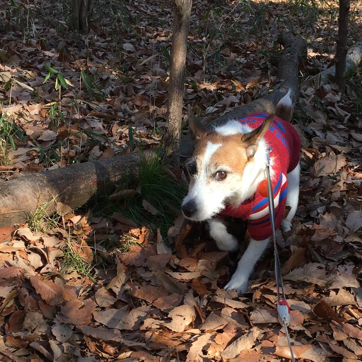 A68823fa 3825 4558 a990 a2c12779073d 1579648399727