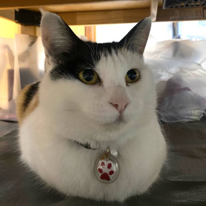 A6884c6b 8b39 4689 8929 05912234b713 1644707917114