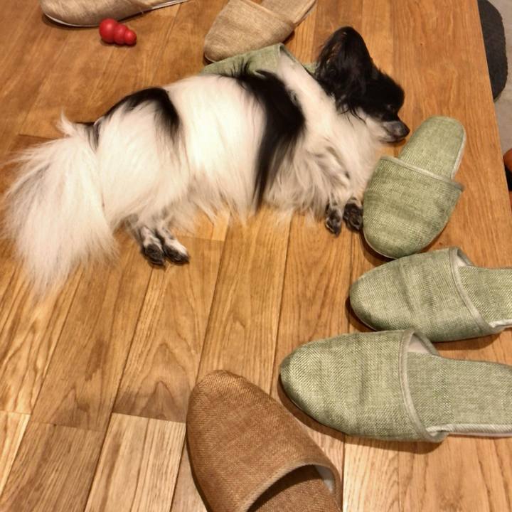 A6886517 6bfe 4cf2 9d41 99388e8881e0 1535806102726