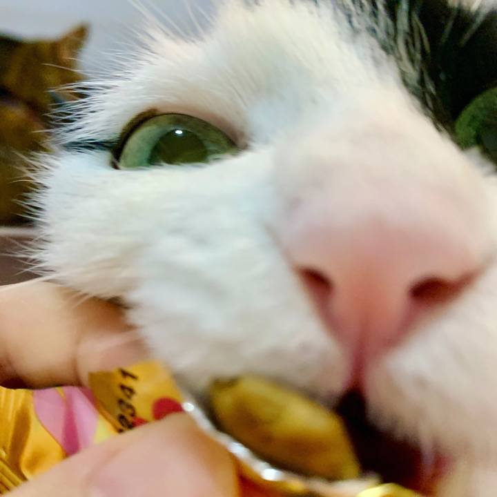 A6886892 ca4b 41f5 88de 99c1b4dd22e2 1624058811412