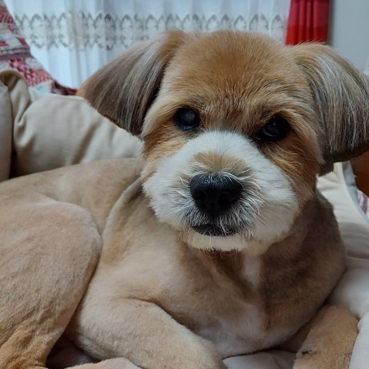 A6887ac7 4067 4058 b3c6 486569b184ed 1655112095443