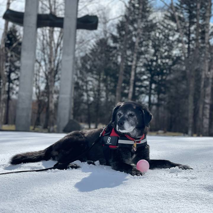 A6889c8e 8f00 4485 be99 4a056b32c9a2 1773124421873