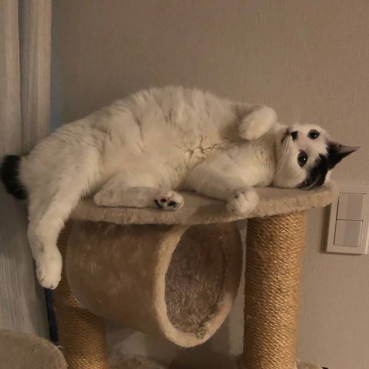 A688a612 0c03 4936 b4cd 00aaa4153a57 1544453879396