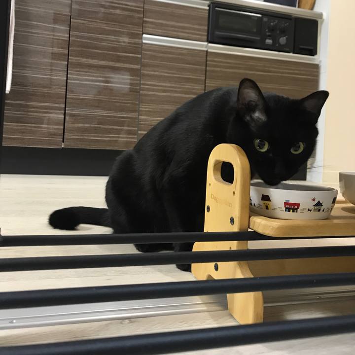 A6890a94 b754 4ebb 8e19 13146fa1fb99 1509981535150