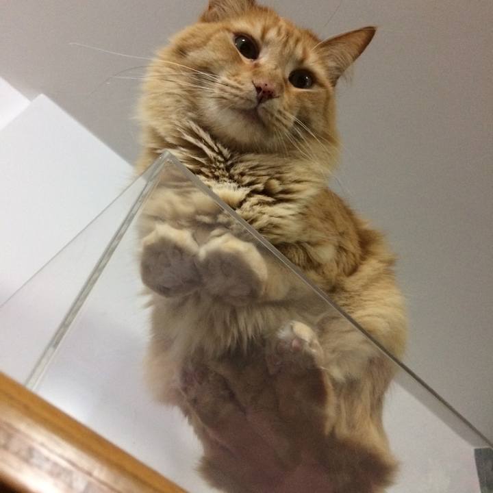 A6891392 543f 4c70 bf07 d0678666ad17 1509726765312