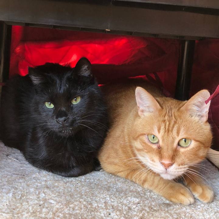 A6891584 37c4 4e55 8a76 f3fdc02cff80 1621981149525