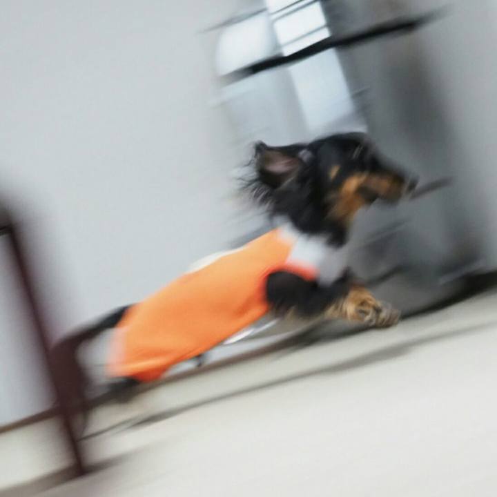 A68922de 0d8f 472a a76c 75f4a35a29a6 1547164289441